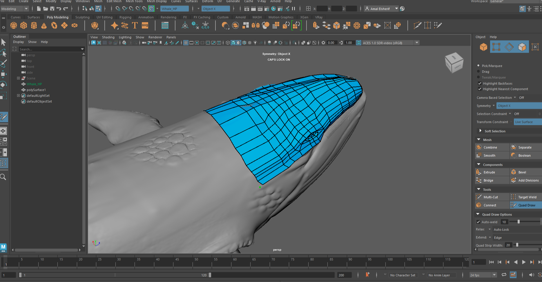 Screenshot of Work In Process